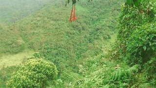 ���ൊളംബിയൻ in the Forest to Give ഭാഷ and Fucked with Strangers Sex in Exchange For Financial Help.