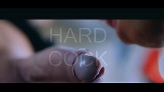 Poljski gospodarica - trener curica