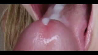 Fixación: Lento Hypno Galo Culto Train 3