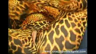 Gila spandex gadis sex teasing