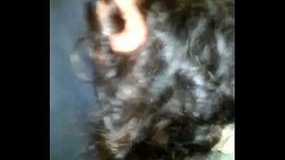 Briseadh an asal de mo dána