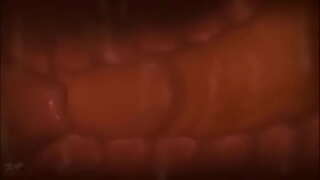 Klaarkomen in de baarmoeder