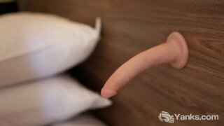 ���ुनहरे बालों वाली शहद से Yanks बैंगनी पंगा लेना उसे बिल्ली उसे खिलौने के साथ